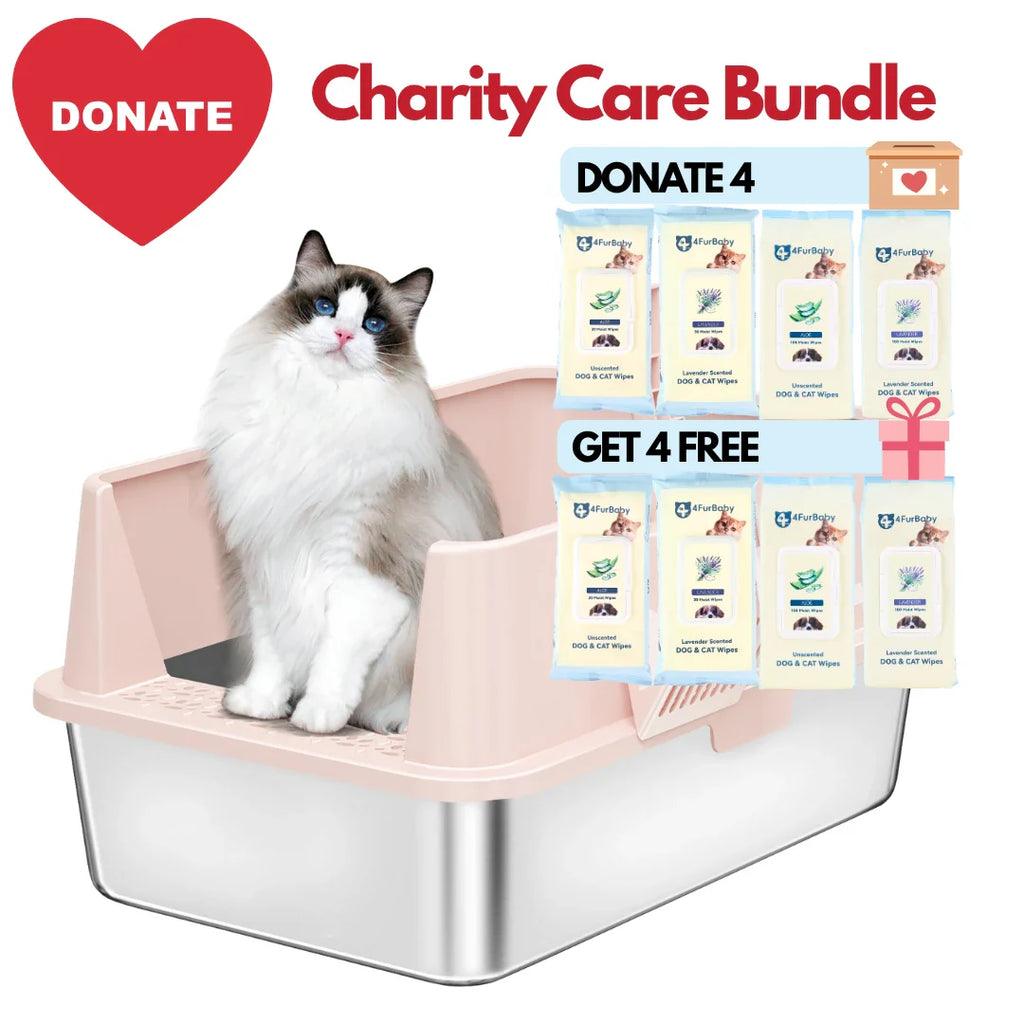 XXL Stainless Steel Cat Litter Box with Lid –  My cat's litter box outlasted my last relationship 😂 — stainless steel, rust-proof, odor-free forever"