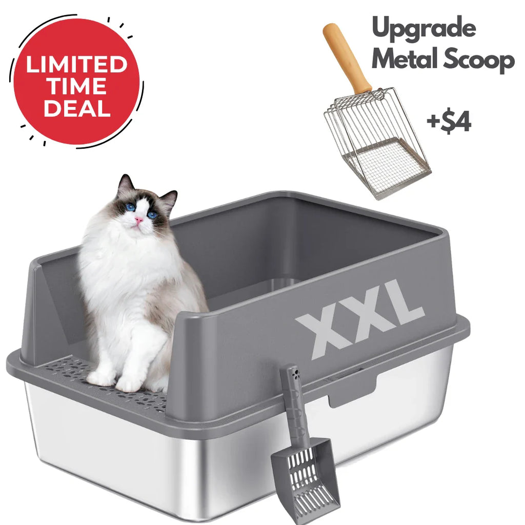 XXL Stainless Steel Cat Litter Box with Lid –  My cat's litter box outlasted my last relationship 😂 — stainless steel, rust-proof, odor-free forever"