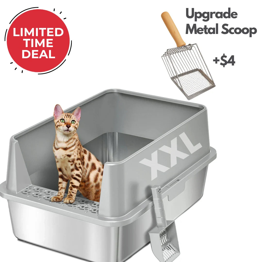 XXL Stainless Steel Cat Litter Box with Lid –  My cat's litter box outlasted my last relationship 😂 — stainless steel, rust-proof, odor-free forever"