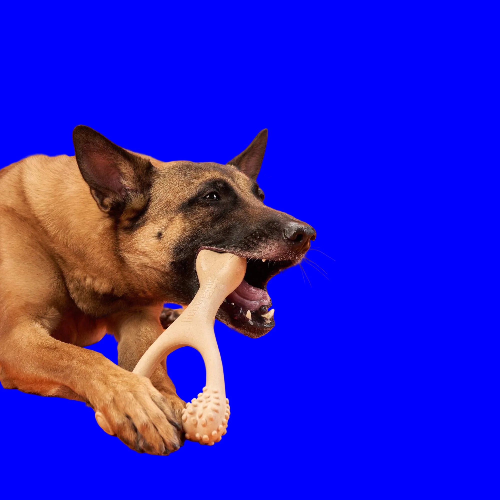 BetterBone HARD DURABLE CHEW TOY: Naturally Derived Ingredients, eco-friendly, and for the toughest chewers!