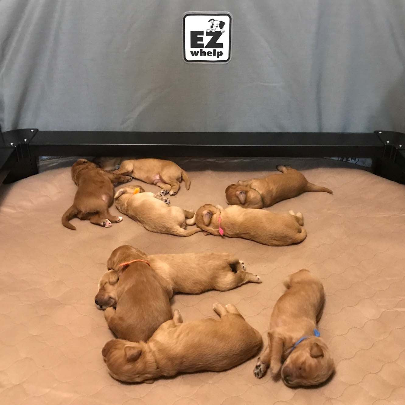 Brown Pad/Mat