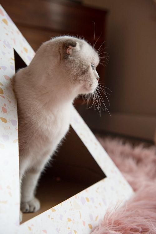 'Terrazzo' Cardboard Cat Pyramid! The cardboard box your cat deserves — made in the USA!