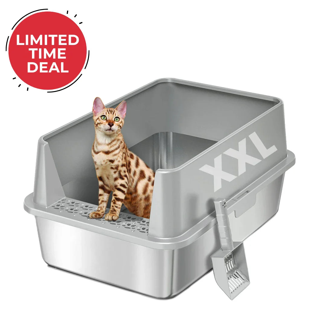 XXL Stainless Steel Cat Litter Box with Lid –  My cat's litter box outlasted my last relationship 😂 — stainless steel, rust-proof, odor-free forever"
