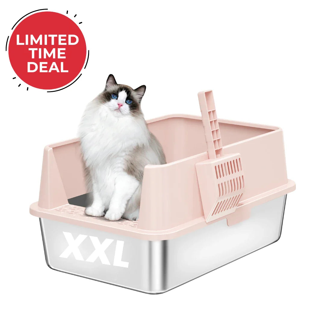 XXL Stainless Steel Cat Litter Box with Lid –  My cat's litter box outlasted my last relationship 😂 — stainless steel, rust-proof, odor-free forever"