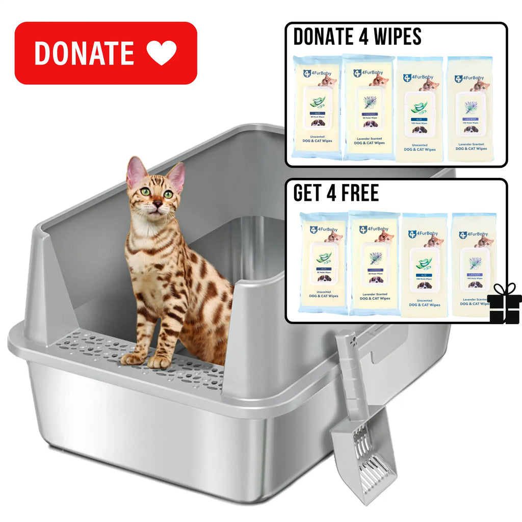 XXL Stainless Steel Cat Litter Box with Lid –  My cat's litter box outlasted my last relationship 😂 — stainless steel, rust-proof, odor-free forever"