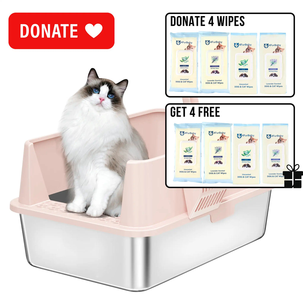 XXL Stainless Steel Cat Litter Box with Lid –  My cat's litter box outlasted my last relationship 😂 — stainless steel, rust-proof, odor-free forever"