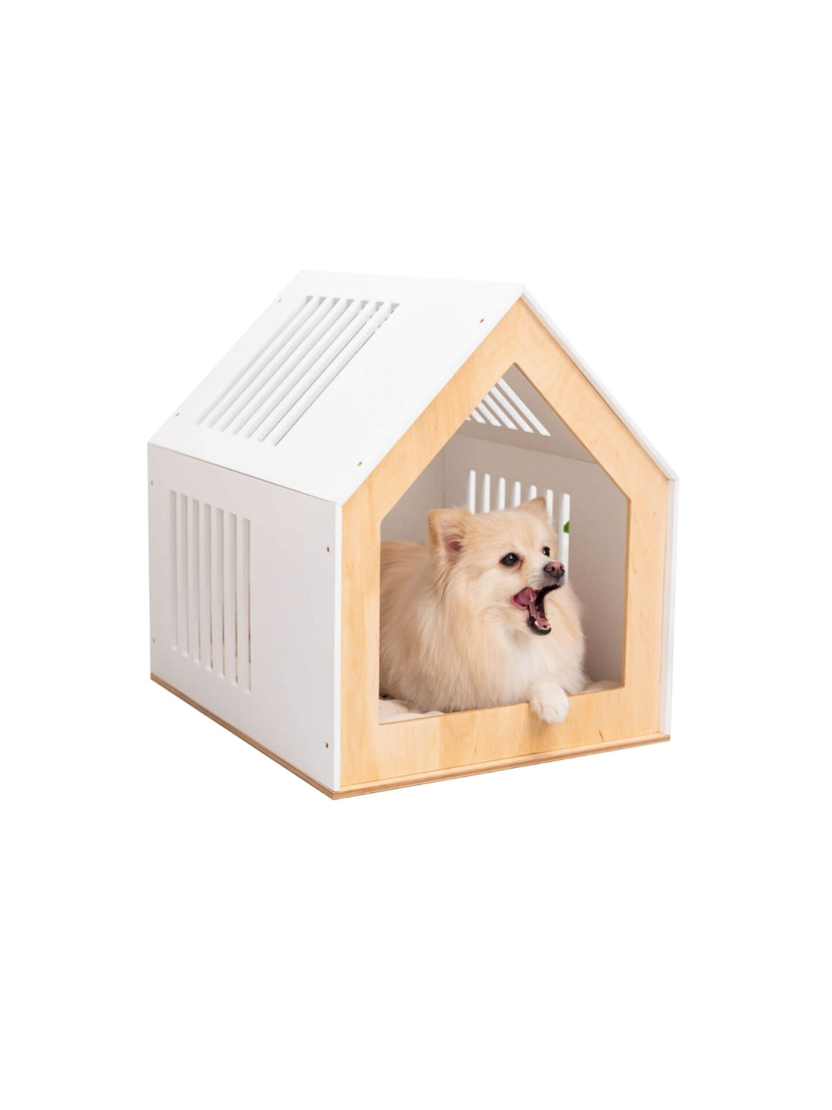 Small Indoor Dog House! My dog has better home decor than me now 😭 !