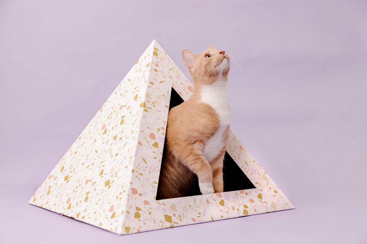 'Terrazzo' Cardboard Cat Pyramid! The cardboard box your cat deserves — made in the USA!