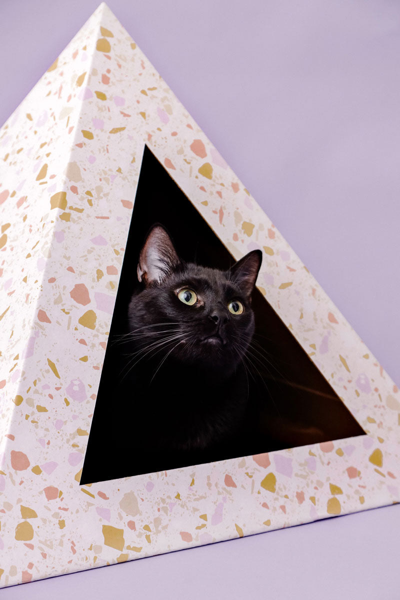 'Terrazzo' Cardboard Cat Pyramid! The cardboard box your cat deserves — made in the USA!