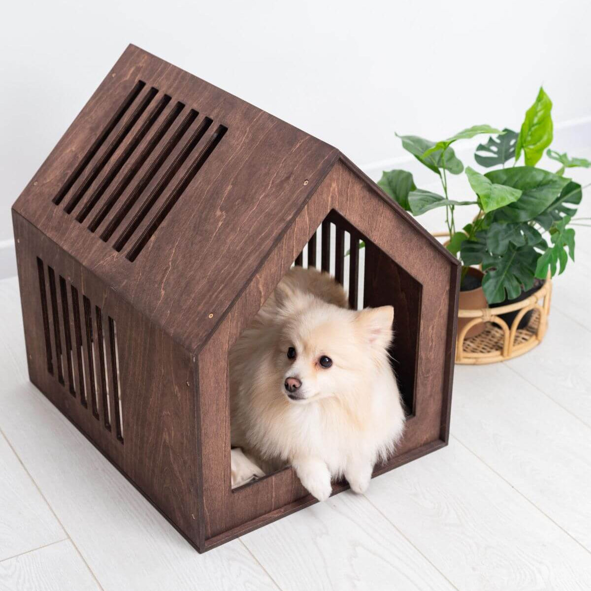Small Indoor Dog House! My dog has better home decor than me now 😭 !