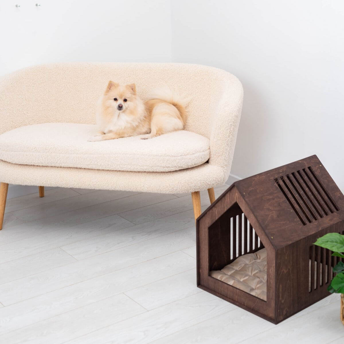 Small Indoor Dog House! My dog has better home decor than me now 😭 !